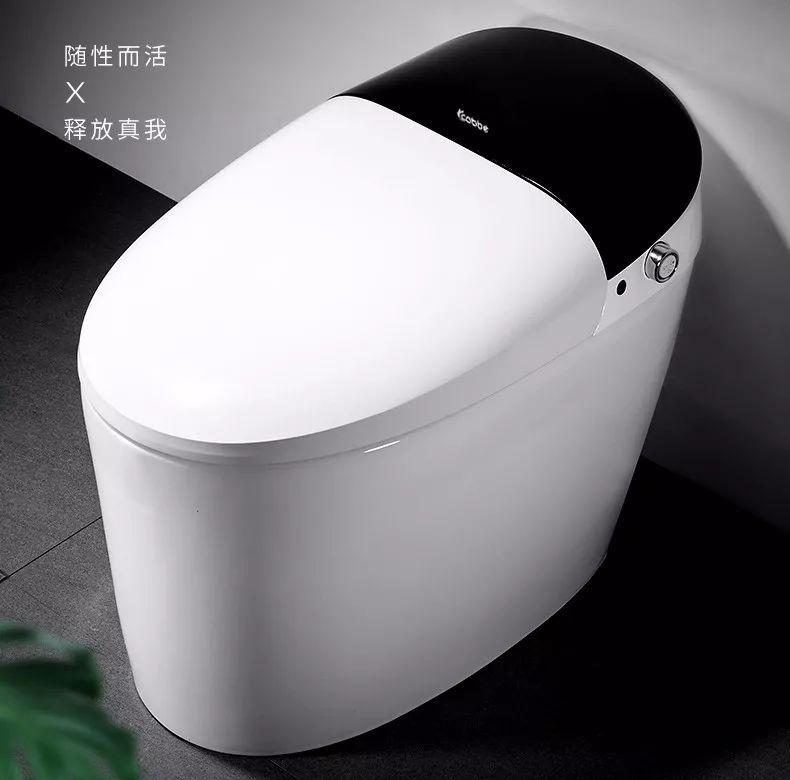 国产智能马桶品牌排名：箭牌、九牧均上榜第一名想不到是它