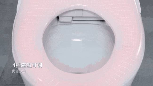 智能生活从“座”开始 —— 揭秘便洁宝智能马桶的非凡魅力(图5)