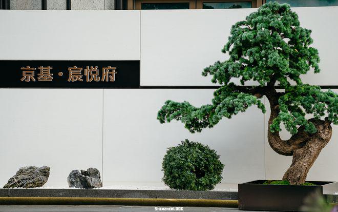 官网：深圳京基宸悦府官方网站京基宸悦府售楼部欢迎您