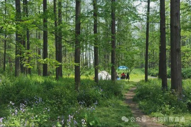 最新动态！评测：【越秀杨浦天玥】楼盘优缺点分析 能不能买(图23)