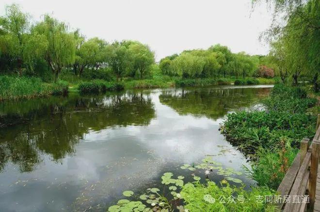 最新动态！评测：【越秀杨浦天玥】楼盘优缺点分析 能不能买(图24)
