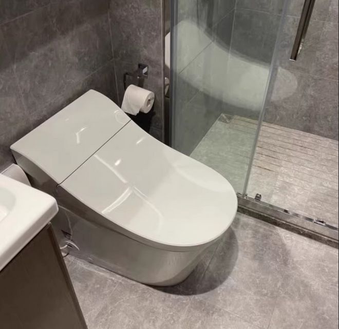智能马桶名牌排行榜(图3)