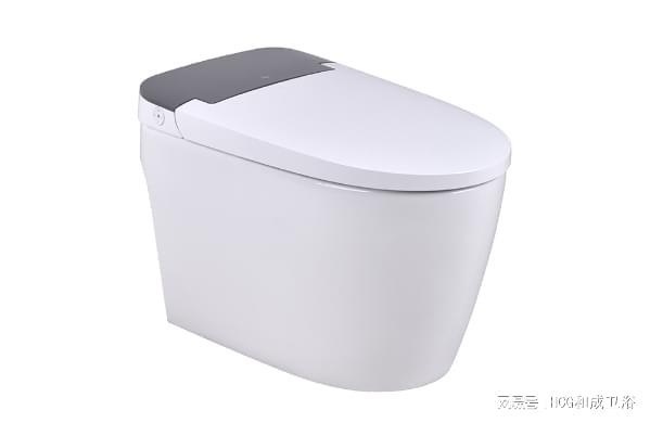 轻智能马桶好用吗值不值得入手？(图2)