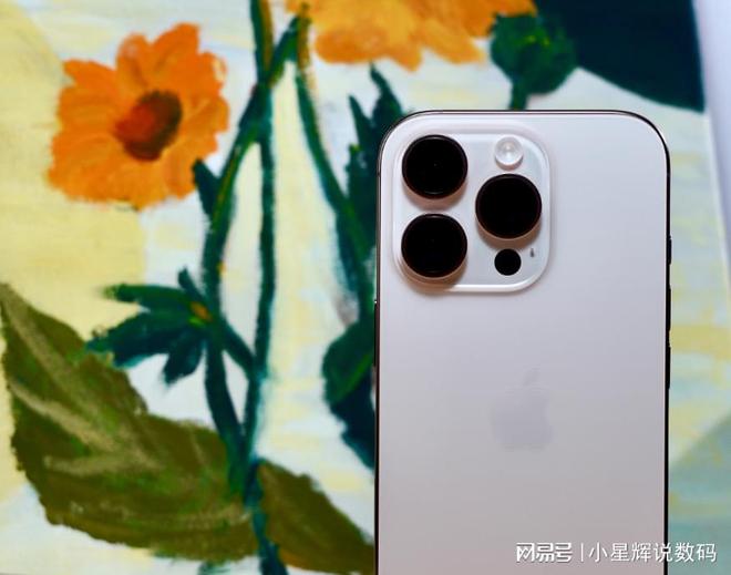 iPhone 16 Pro狂降1500元A18 Pro+256GB等等党的福音(图3)