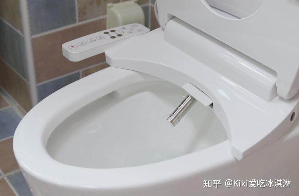 中国智能座便器行业发展趋势研究与未来前景报告（2024-20