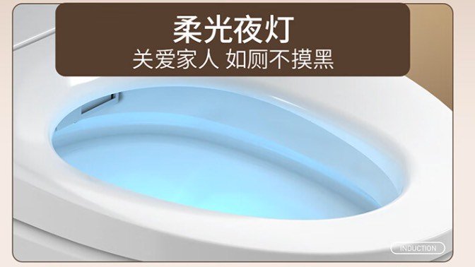 2024年智能马桶方案docx