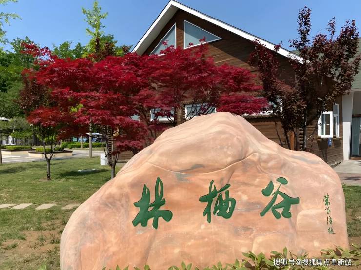 永清林栖谷康养度假区2025要点解读：最新价格更新地址交通热线(图1)