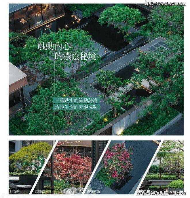 保利海上臻悦(售楼处)首页网站-保利海上臻悦 馆销售中心(营销中心)售楼处电话-户型-价格-开盘时间-楼盘详情-周边配套-得房率(图29)