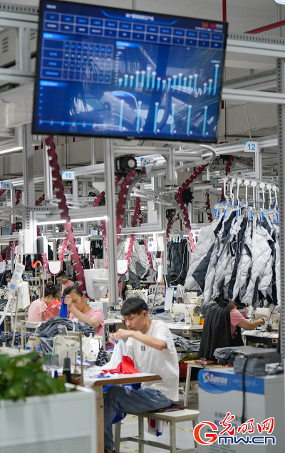 从“梯航万国”到数字潮涌刺桐港数智向未来