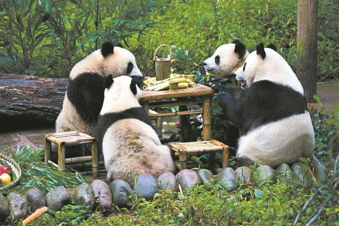 光明网 法律筑基 科技赋能 守护“多样”精彩——专访中国环境科学研究院副院长全占军(图3)