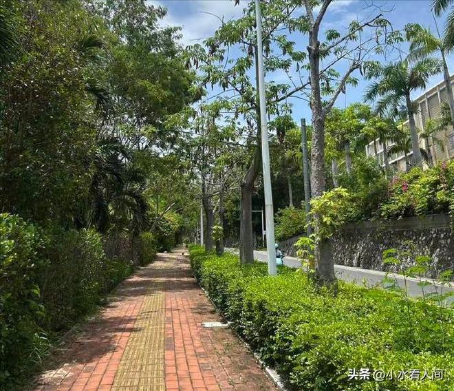 女子疑蛇咬身亡后续！伤口曝光治疗过程耽误卫健委：封档彻查(图2)