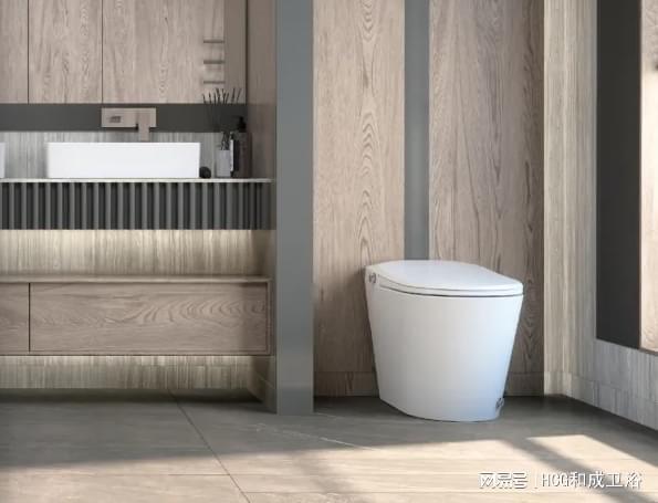 智能坐便器好用吗如何选购智能坐便器(图2)