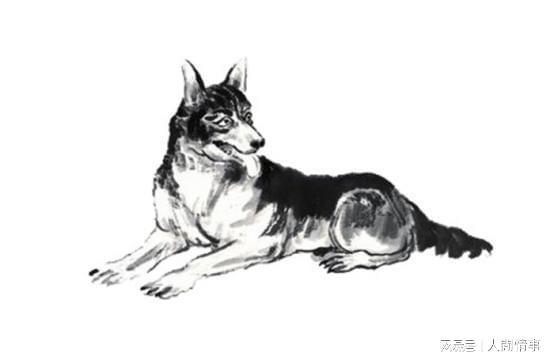 两口子是这两种生肖灾难不进门越老越有钱日子大富大贵(图2)