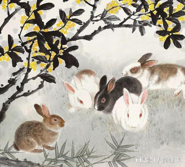 两口子是这两种生肖灾难不进门越老越有钱日子大富大贵(图3)