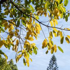 2024智能马桶十大公认品牌(图4)