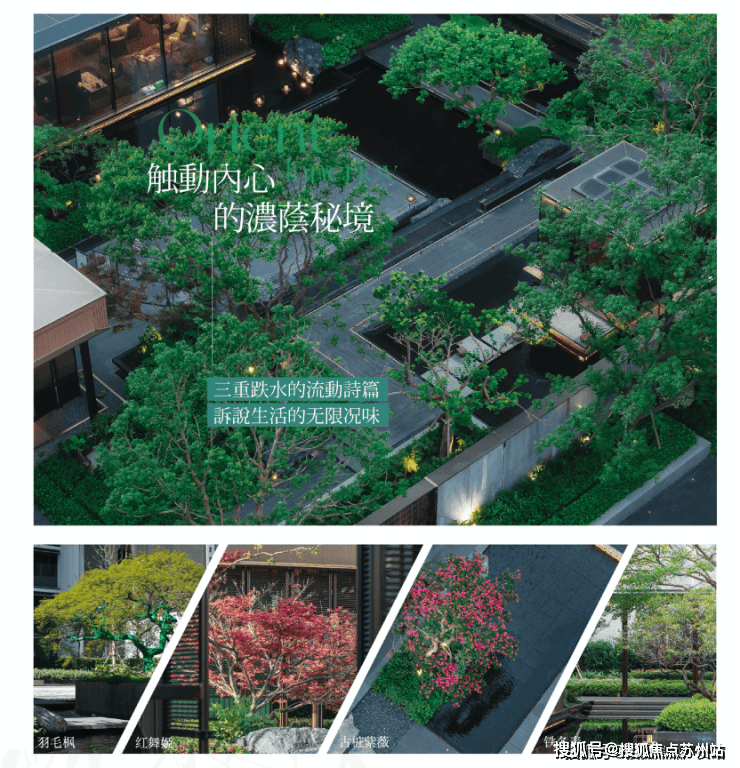 保利海上瑧悦(售楼处)首页网站-保利海上瑧悦销售中心(营销中心)-楼盘欢迎您-小区环境-户型-价格-地址-楼盘详情-周边配套(图26)