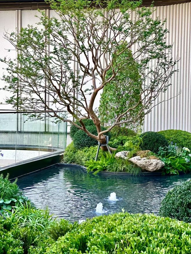 十月聚焦@龙湖御湖境官方售楼处发布:龙湖定义上海豪宅新标杆(图4)