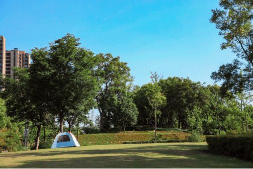 【动态】保利海上瑧悦售楼处 保利海上瑧悦官方发布：火爆开场!(图20)