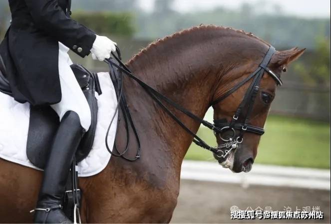 象屿天誉蘭香(营销中心)官方网站-天誉蘭香销售中心(售楼处)-楼盘欢迎您-地址-价格-户型-小区环境-楼盘详情-交房时间-周边配套-售楼处电话(图23)