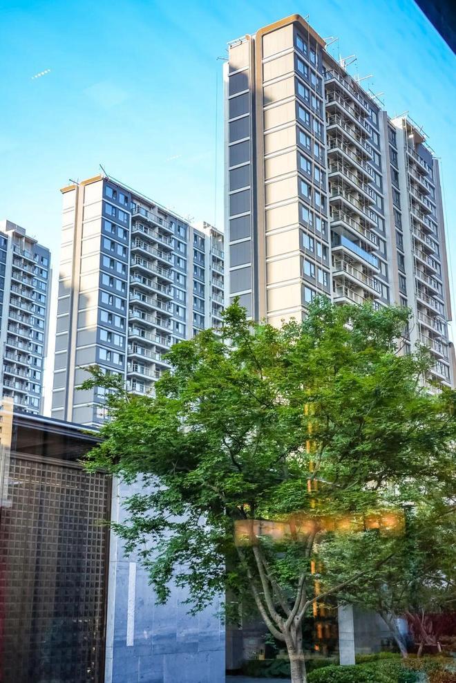 保利海上瑧悦(2025年保利海上瑧悦)官方网站-楼盘详情-上海房天下(图3)