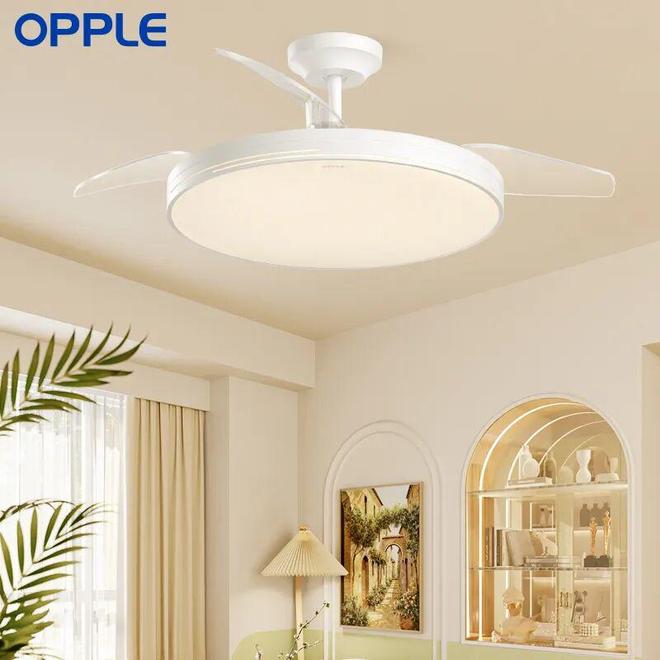 CBI500榜单:家装家具品牌逆势增长跑赢大盘看2026存量焕新机会(图4)