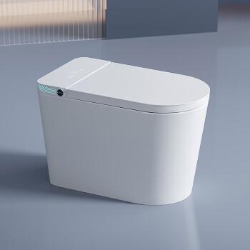智能马桶 2024新款 无水压限制静音冲魔力泡除臭杀菌座便器