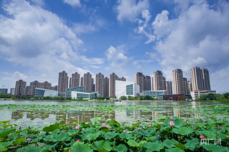 佛山三水：招商引资总额连续三年突破800亿元(图1)