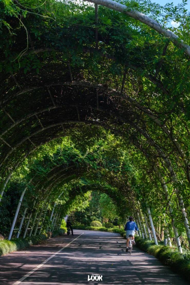 长宁西郊云庐官方售楼处电话(中西郊云庐)官方网站-营销中心欢迎您-中国铁建熙语售楼处电话()网站-营销中心欢迎您(图5)