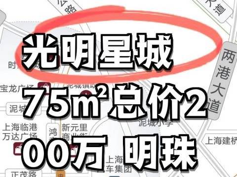 光明星城售楼处电线光明星城官方营销中心地址-楼盘详情-最新房价-户型图-周边环境-配套容积率-交房时间预约看房(图10)